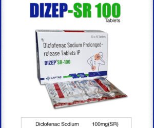 DIZEP-SR 100